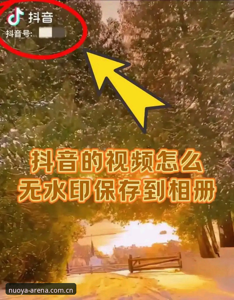 诺亚体育平台新版本安装实用指南：从下载到登录的全流程解析